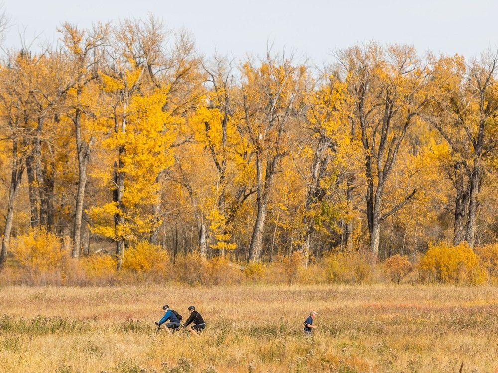 calgaryherald